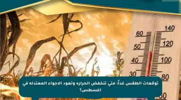 توقعات الطقس غداً: متى تنخفض الحرارة وتعود الأجواء المعتدلة في أغسطس؟